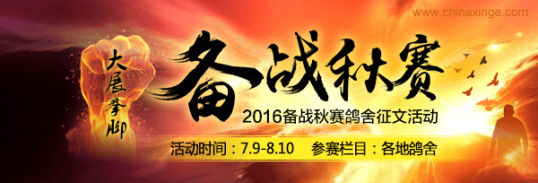芬兰国家队欧锦赛备战策略有声有色